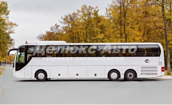 Автобус Man 51 место
